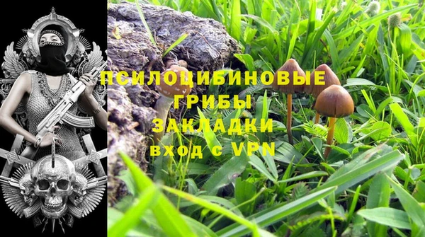 мдпв Арсеньев