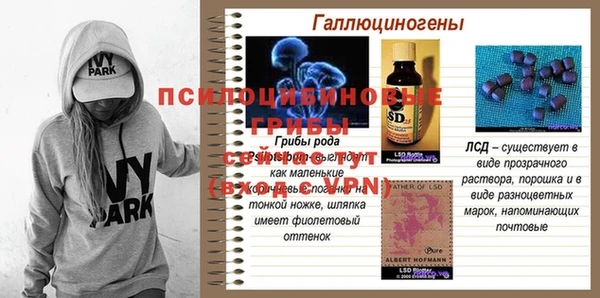 герыч Вяземский