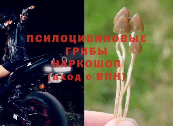 мдпв Арсеньев